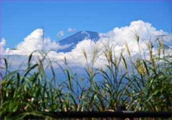 富士山