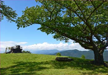 大野山山頂