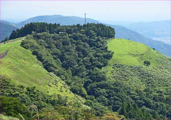 薫る野牧場