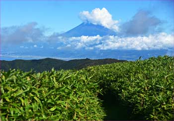 富士山