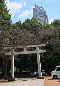 鳥居と都庁