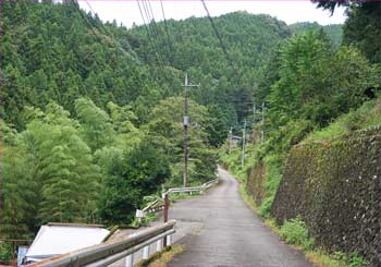 大嶽神社への道