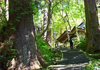 神社へ