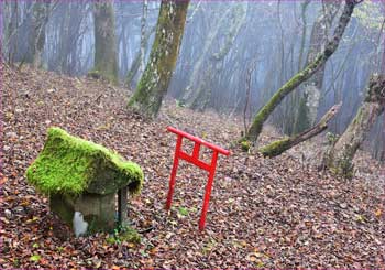 小神社