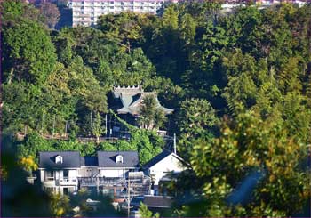 御霊神社