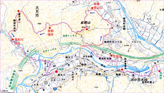 岩殿山地図