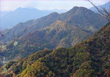 高川山