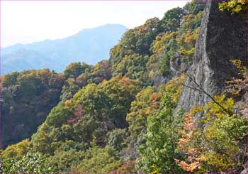 斜面紅葉