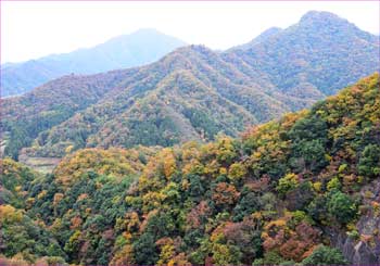 高川山