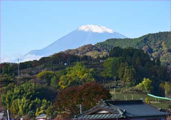 大蔵野富士