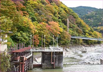 酒匂川