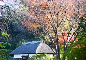 福原家の