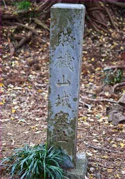 賤機山城