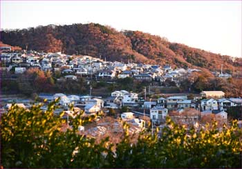 鶴巻温泉分譲住宅地