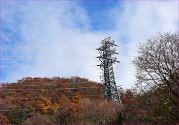 東畑に線鉄塔