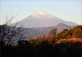 富士山