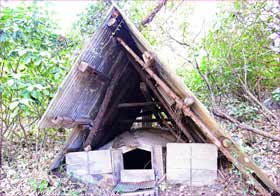 炭焼き小屋