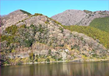 権現岳