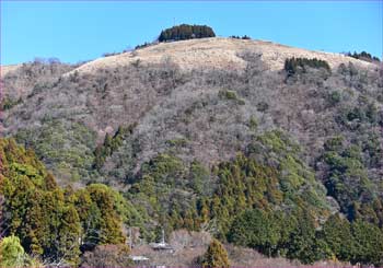 大野山