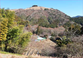 大野山