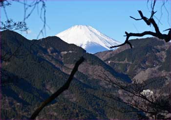 富士山