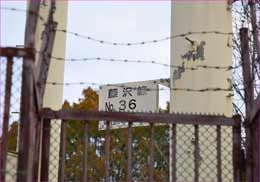藤沢線36