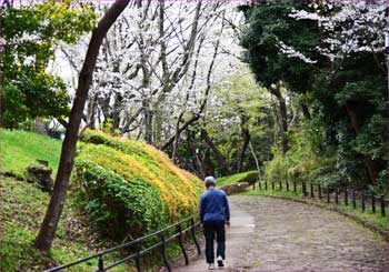 城址公園への道