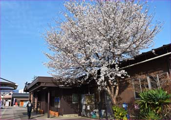 大月駅