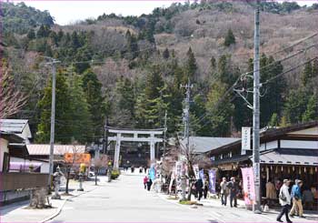 本宮参道