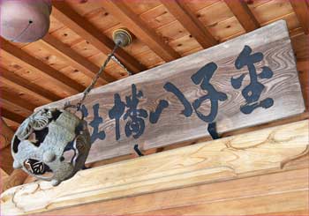 神額