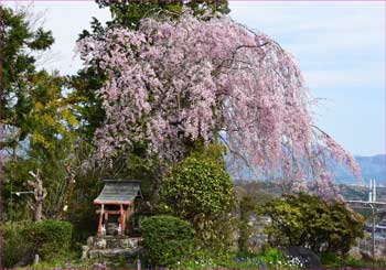 祠と