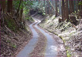 林道