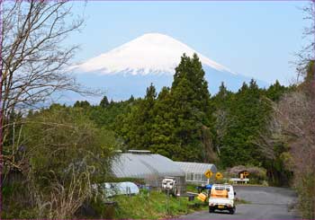 富士が