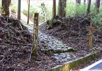 赤坂古道