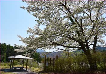 東屋