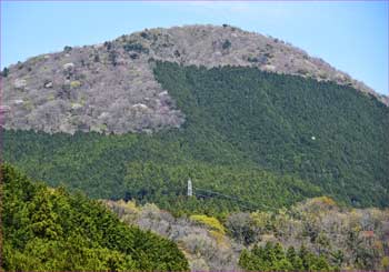 矢倉岳