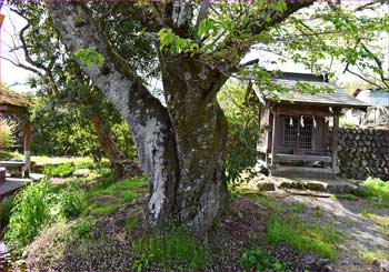 厳島神社