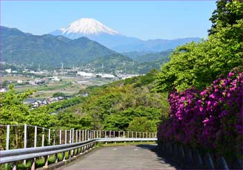 富士山