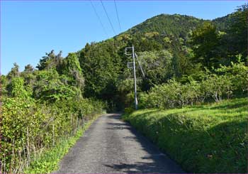 山へ