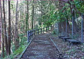 山へ