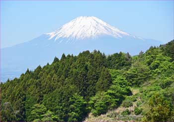 富士山