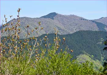 檜岳山稜