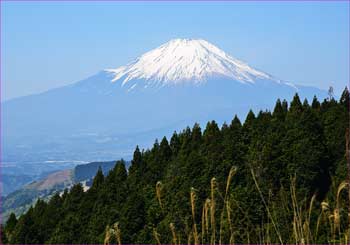 富士山