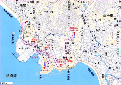 逗子地図