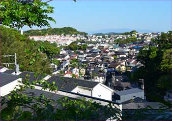 小坪