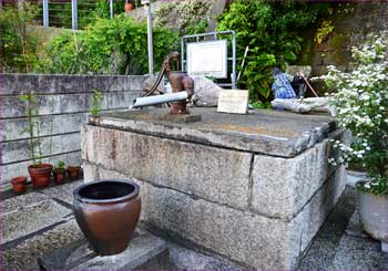 古井戸