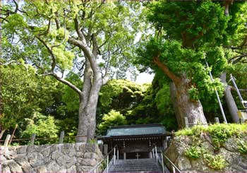 白岩神社