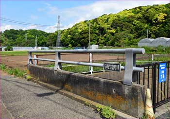 血洗橋