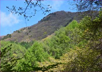 聖山望む
