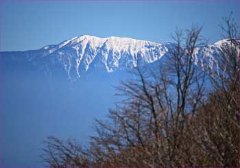 大滝山